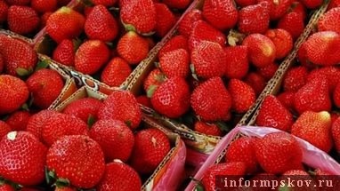Фото rshn-tver.ru
