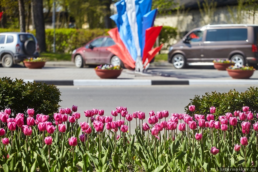 Фото: Дарья Хваткова.