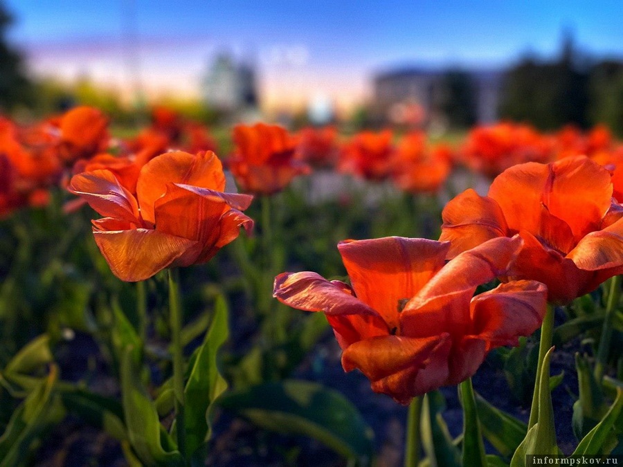 Фото Дарьи Хватковой