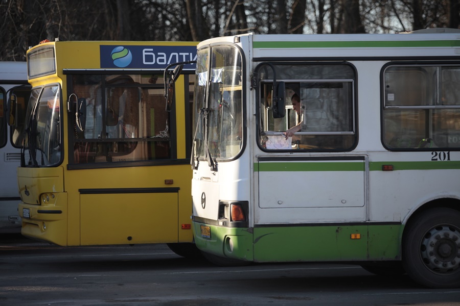 Фото: Андрей Степанов.