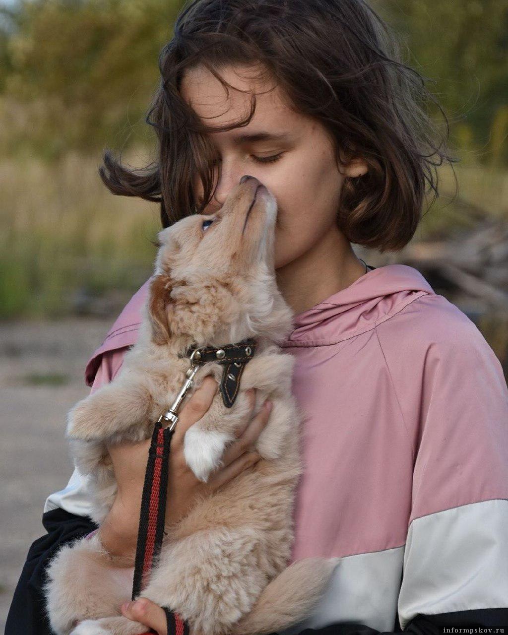 Фото из Instagram ПРОО «Зоозащита Псков».