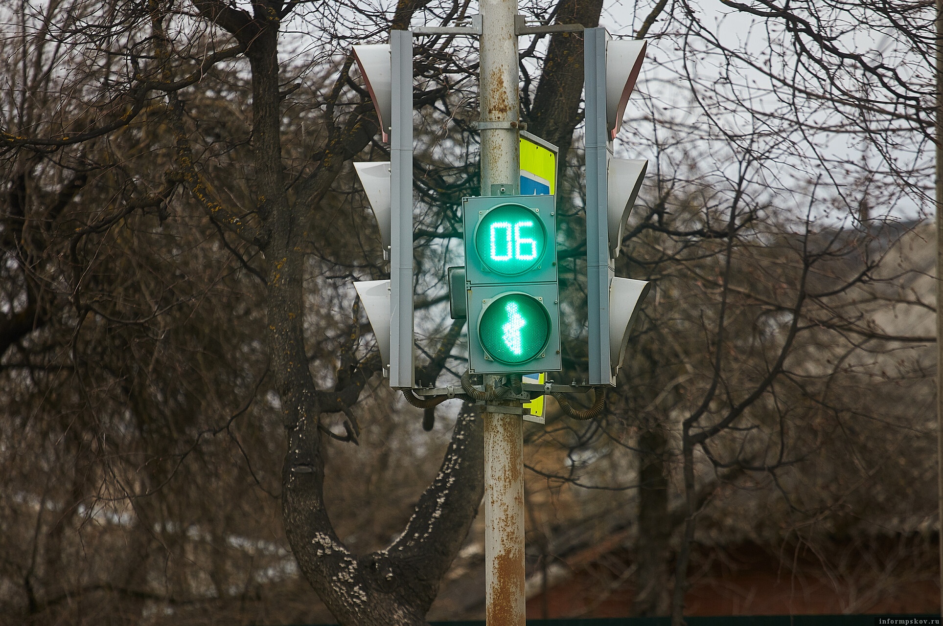 Фото Дарьи Хватковой.