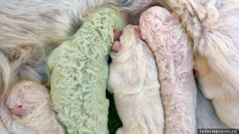 Фото: www.bbc.com