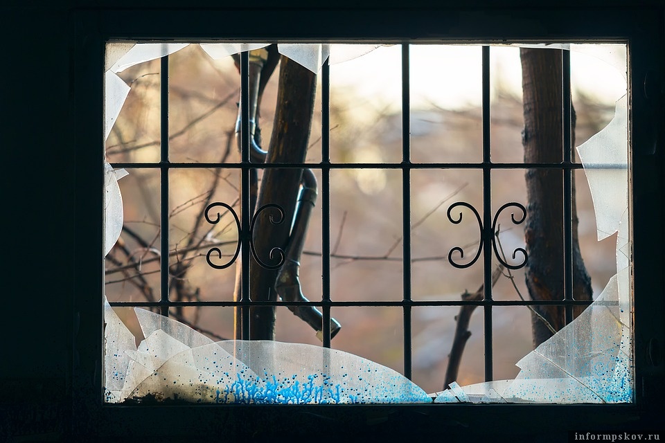 Фото: pixabay
