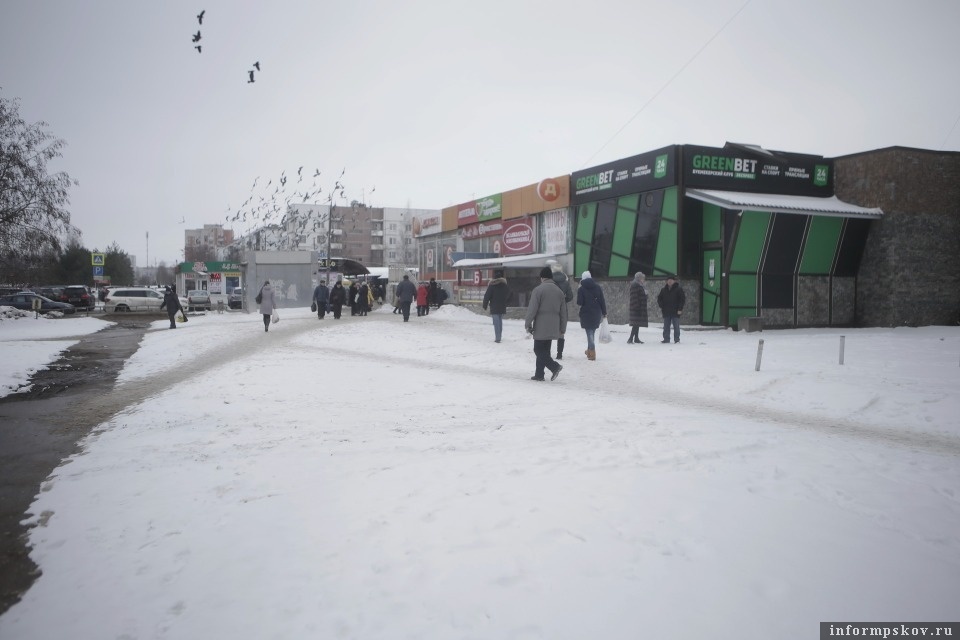 Фото: Андрей Степанов