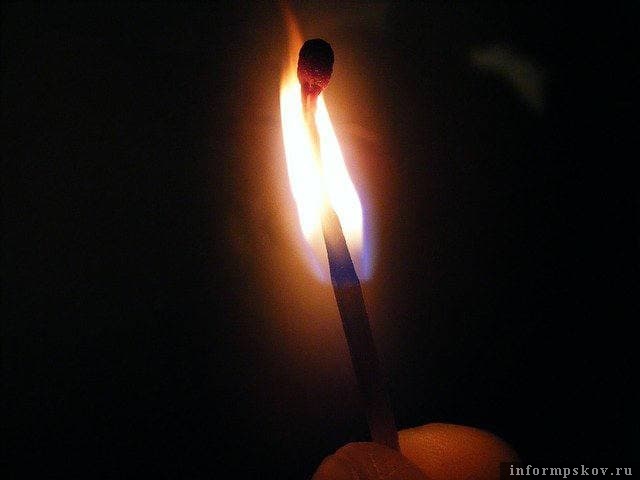 Фото: pixabay.com