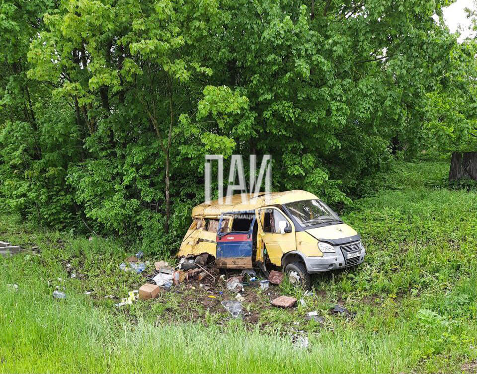 Фото: Газета «Плюсский край»