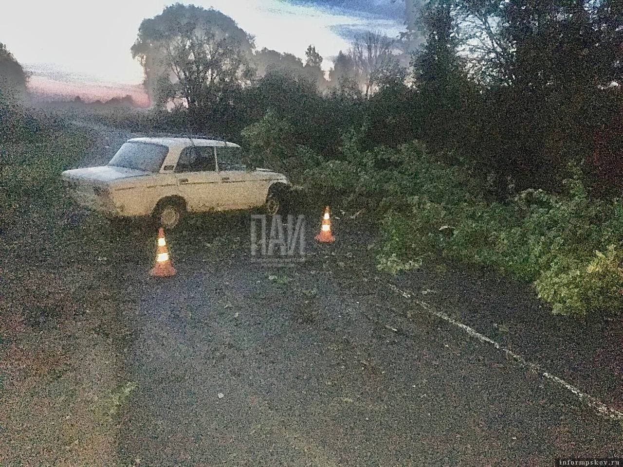 Фото: УГИБДД УМВД России по Псковской области.