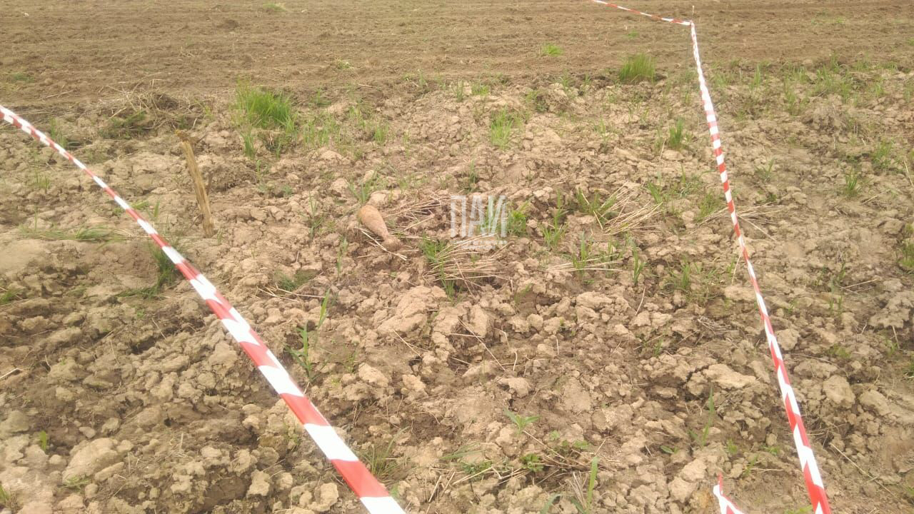 Фото: Газета "Сельская новь".
