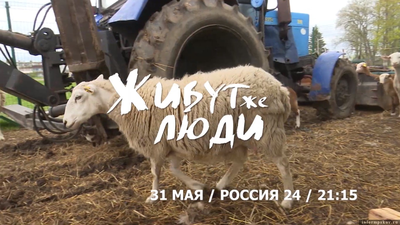 Фото: «Вести-Псков»