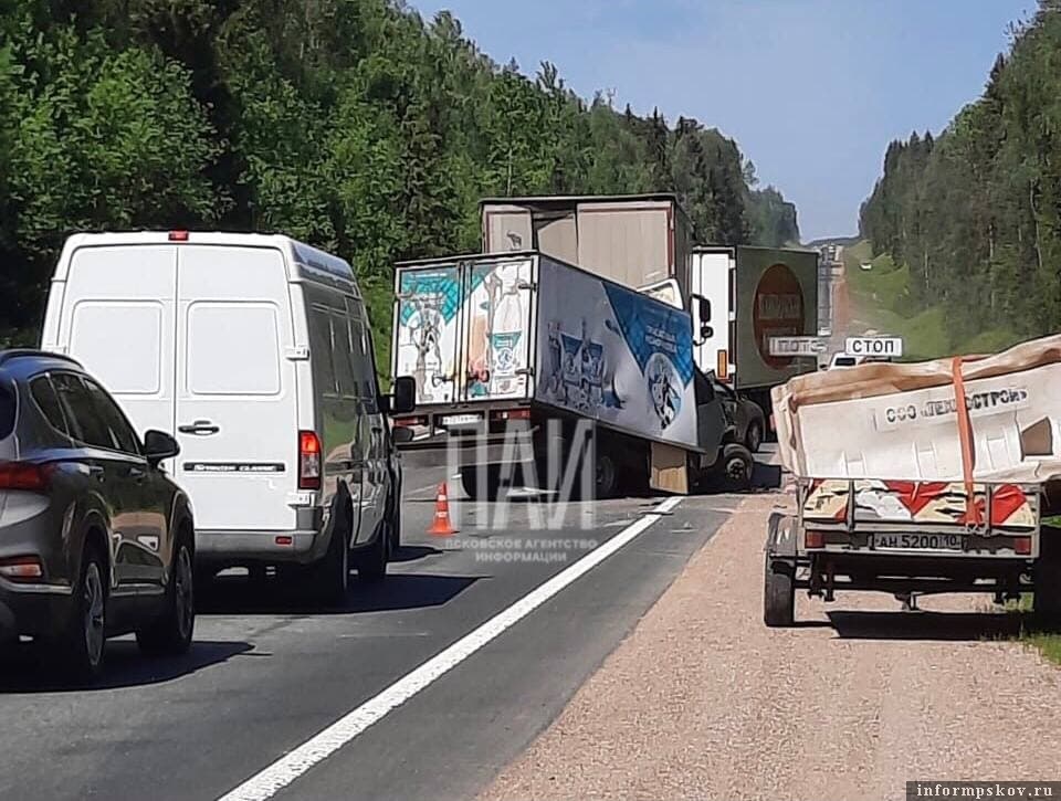 Фото: Газета "Красный маяк" Опочецкого района