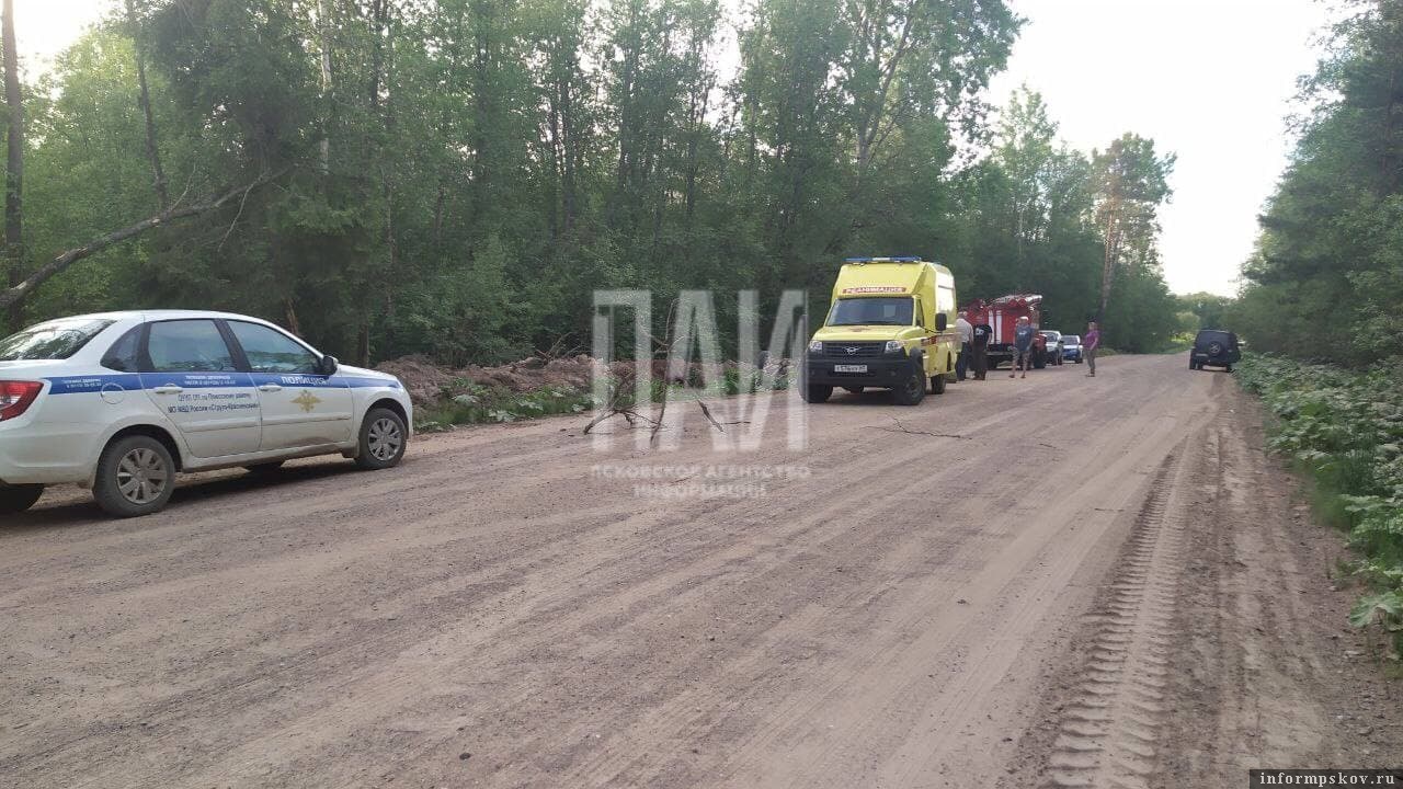 Фото: Газета "Плюсский край"