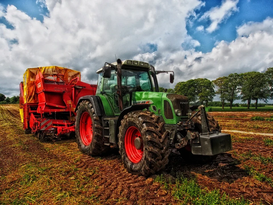 Фото: Pixabay.com