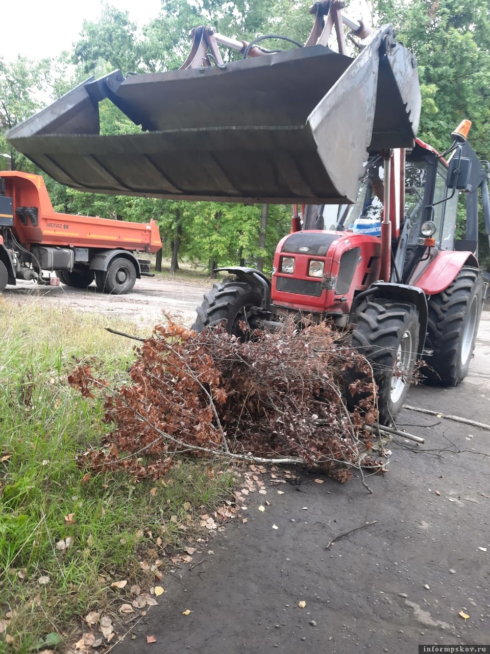 Фото: газета «Великолукская правда. Новости»