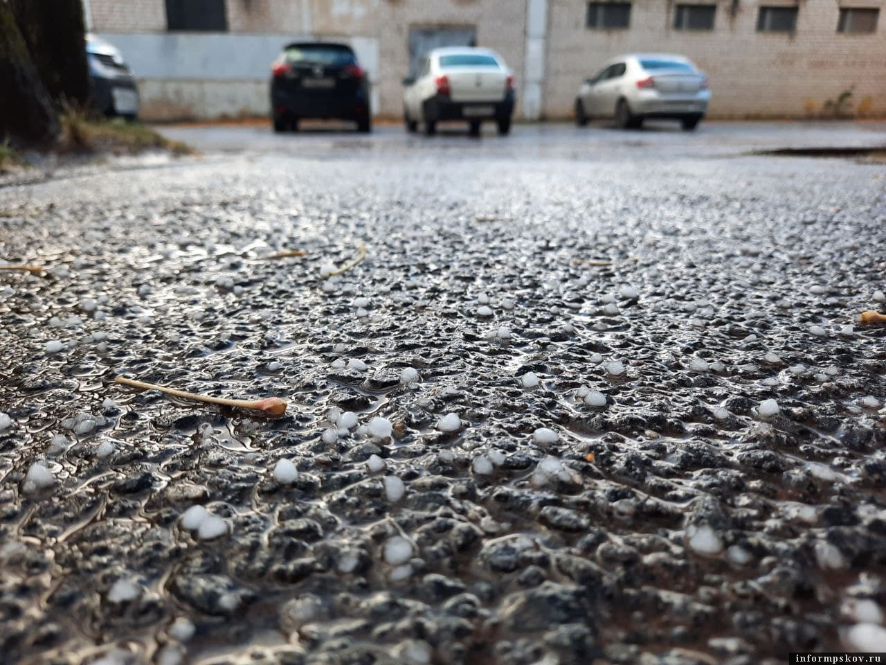 Фото: Официальный канал Псковской области