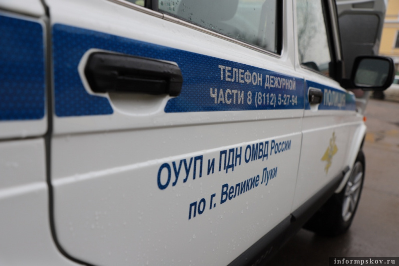 Фото: УМВД России по Псковской области 