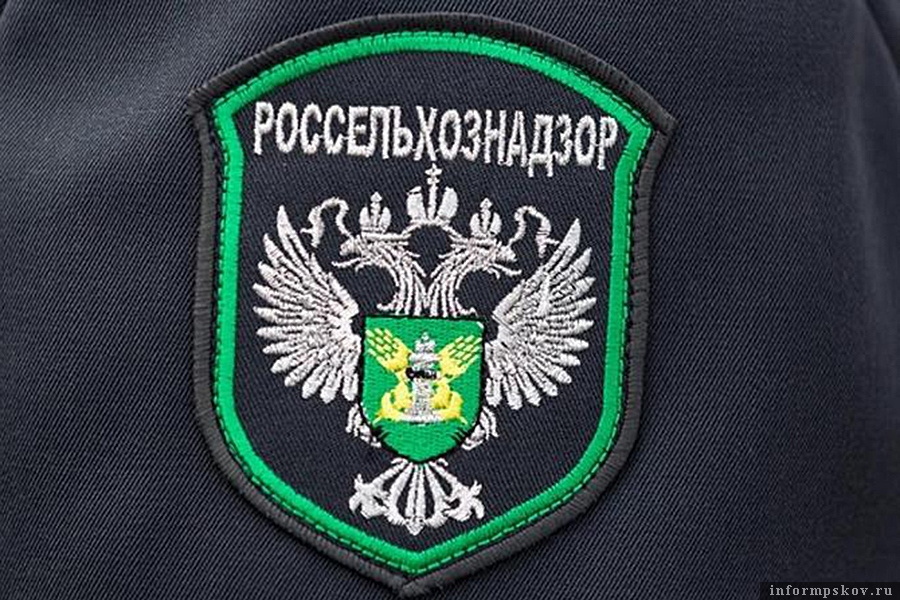 Россельхознадзор отправил обратно в Белоруссию 150 кг мяса косули. Фото: «ВКонтакте»