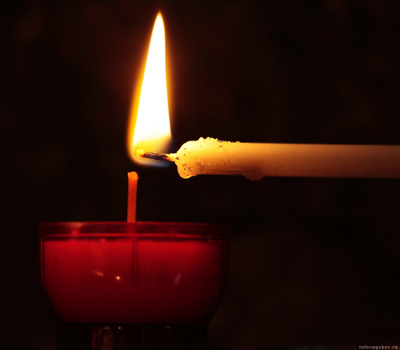 Фото с сайта pixabay.com.