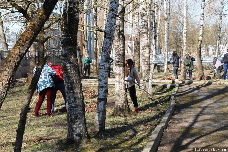 Уборка мусора и прошлогодней листвы. Фото: «Наша жизнь»