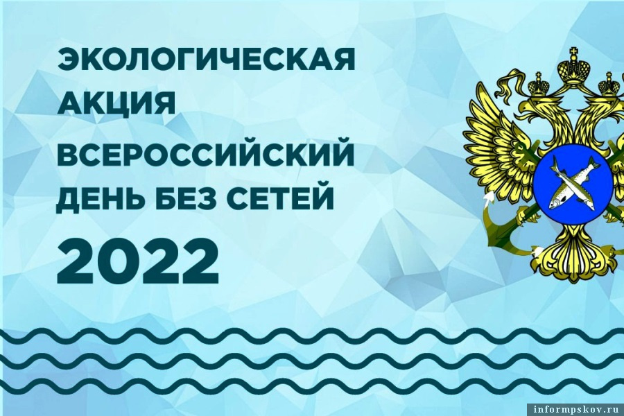 Во время акции почистят акваторию устья реки Великой. Фото Вконтакте