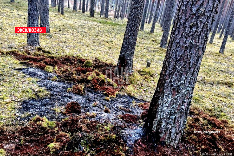 Огонь удалось локализовать. Фото ПАИ