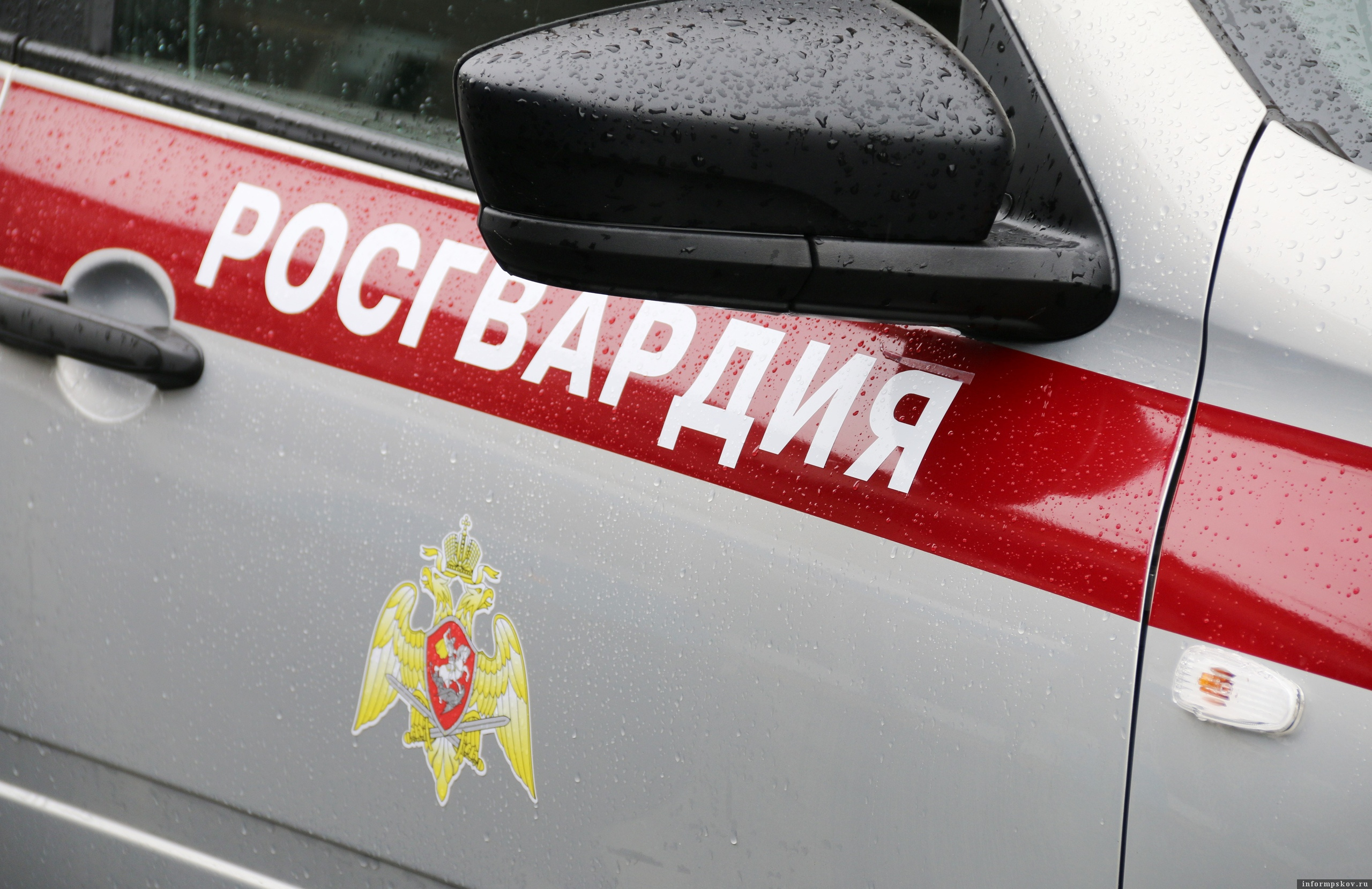 Фото: пресс-служба Управления Росгвардии по Псковской области