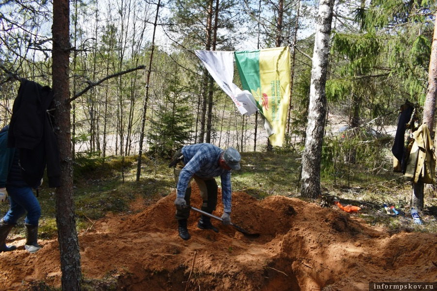 В районе деревни Корытно Гдовского района поисковика обнаружили останки бойца Великой Отечественной войны. Фото Гдовская заря