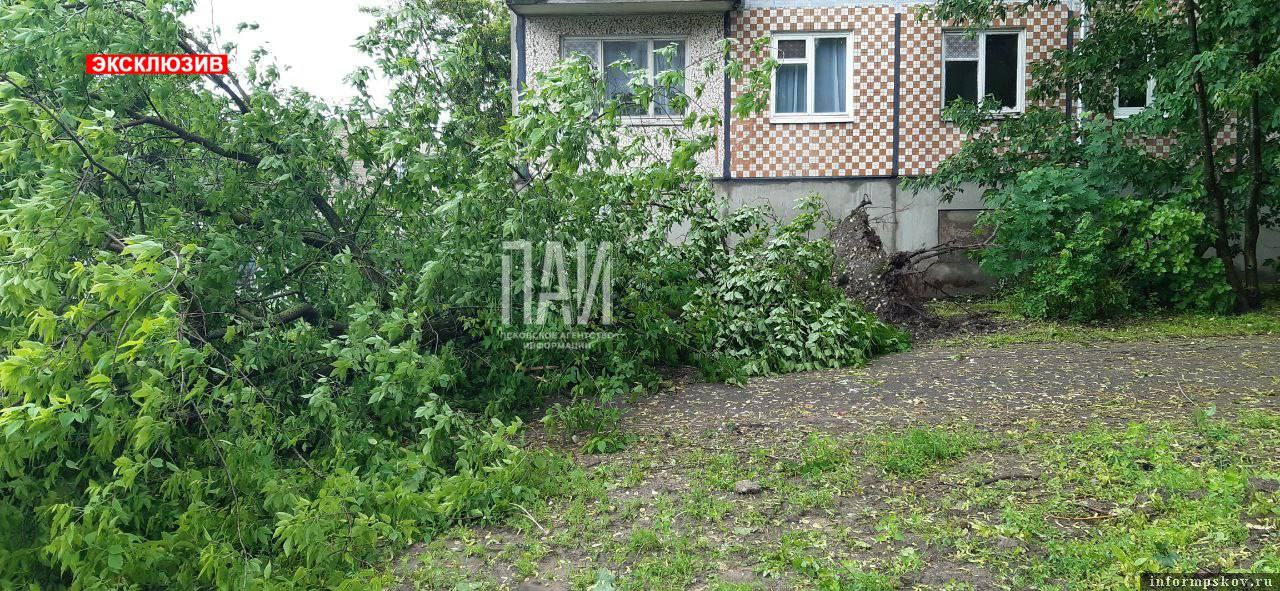 Псков, улица Коммунальная, 10
