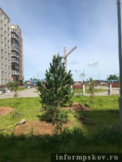 Фото: телеграм-канал Бориса Елкина