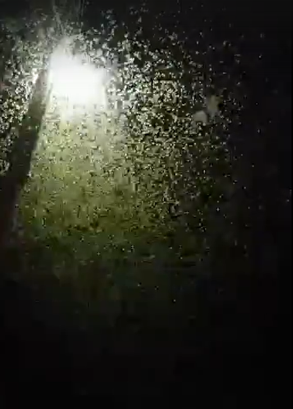 Скриншот из видео, которое люди опубликовали в соцсетях