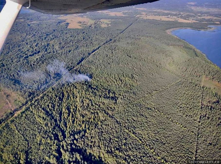 Фото противопожарного лесного центра Псковской области