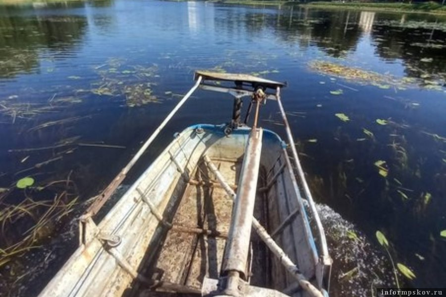 Скошенные водоросли удаляют из реки. Фото: Telegram