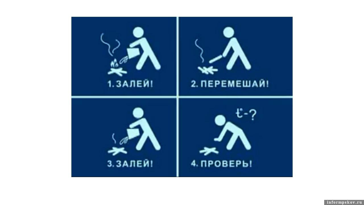 Фото противопожарного лесного центра Псковской области