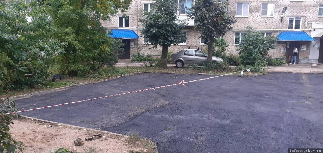 Фото: Николай Козловский