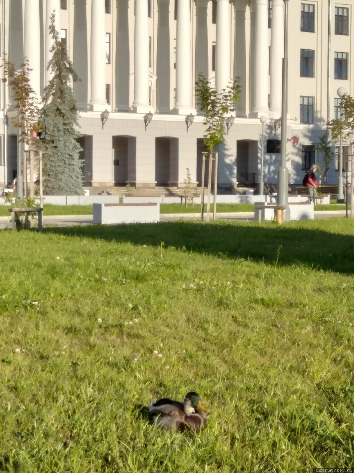 Фото: Надежда Лищенко