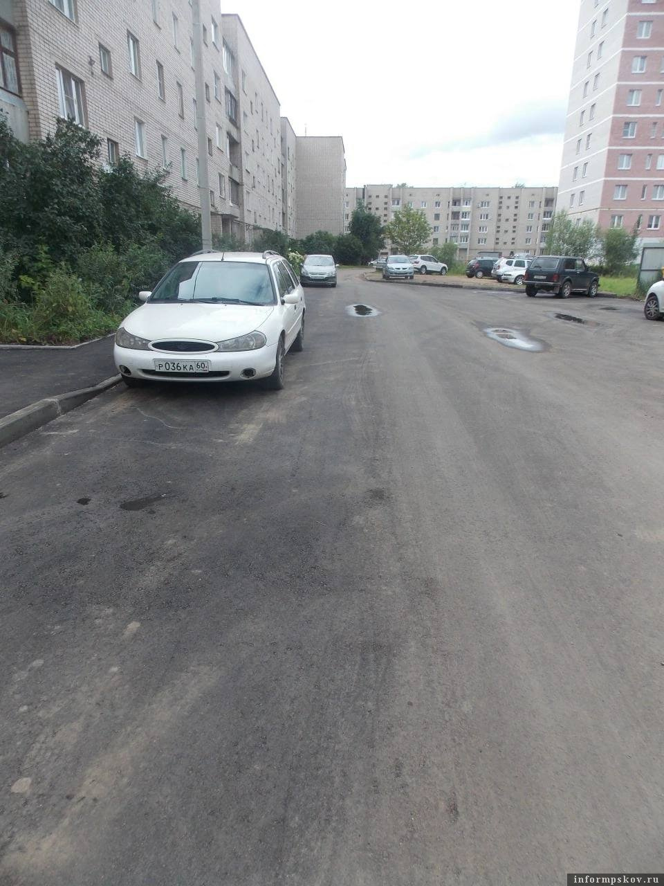 Фото: Николай Козловский