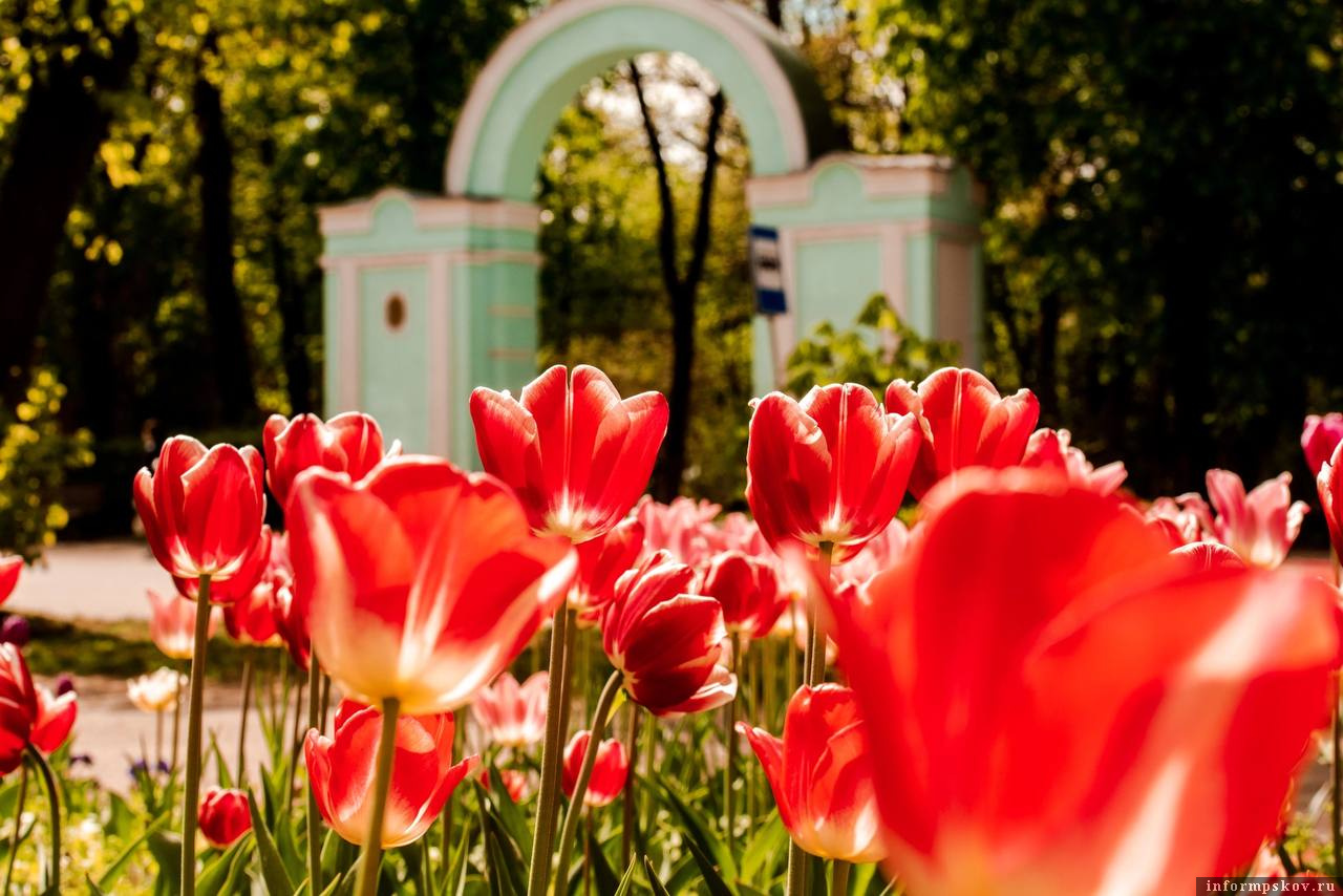Фото: Евгений Николаенков