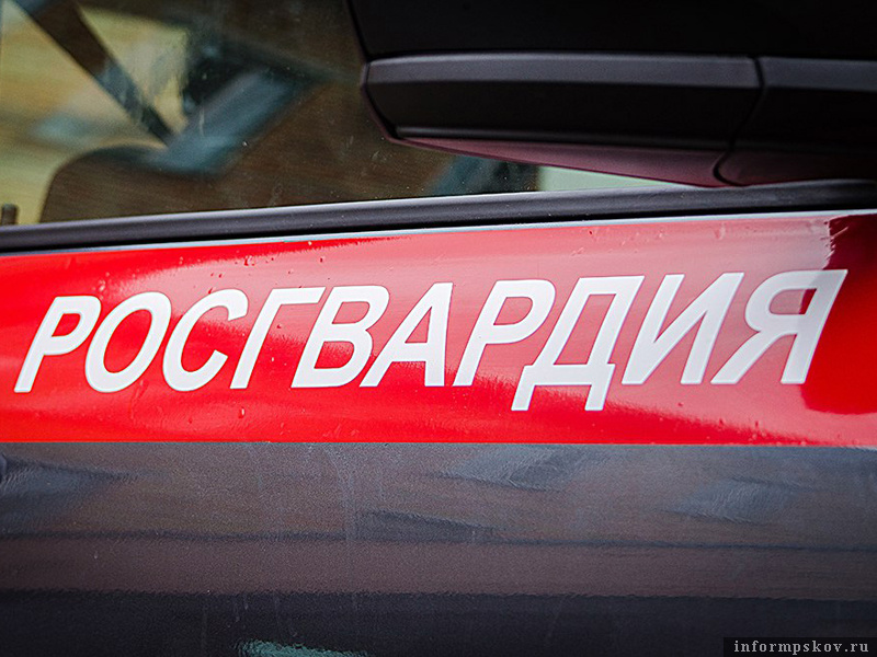 Фото: управление Росгвардии по Псковской области