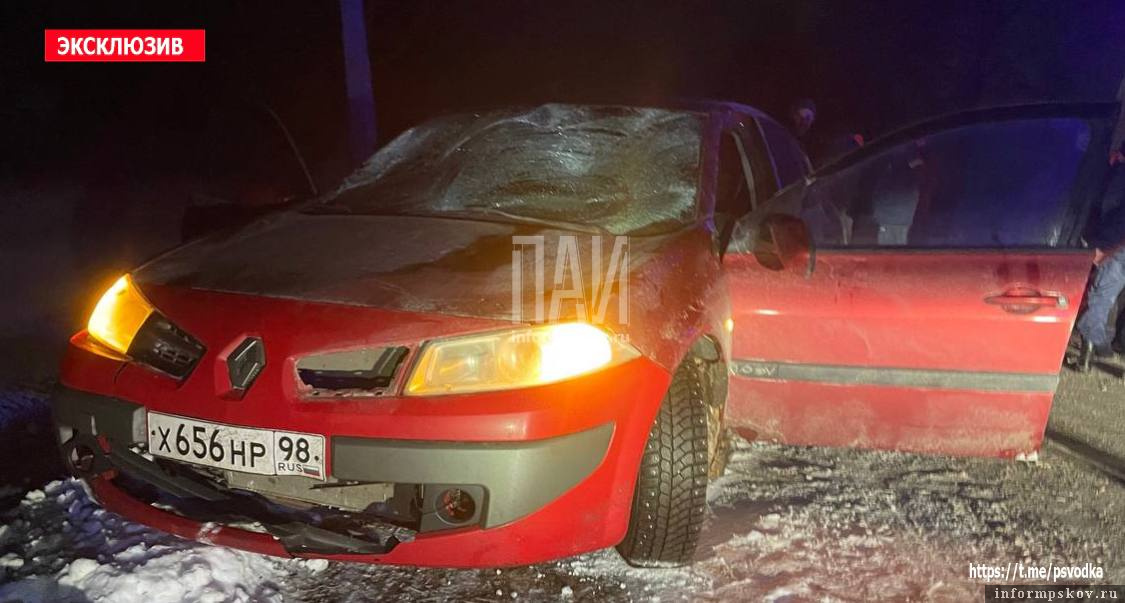 Renault наехал на двух нетрезвых пешеходов. Фото ПАИ