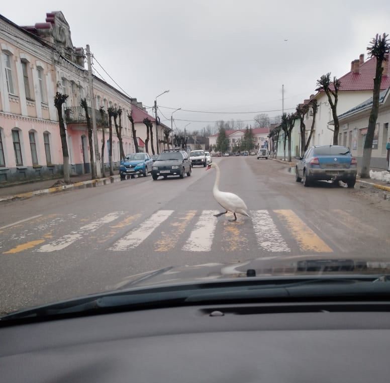 Фото: Анастасия Круглякова