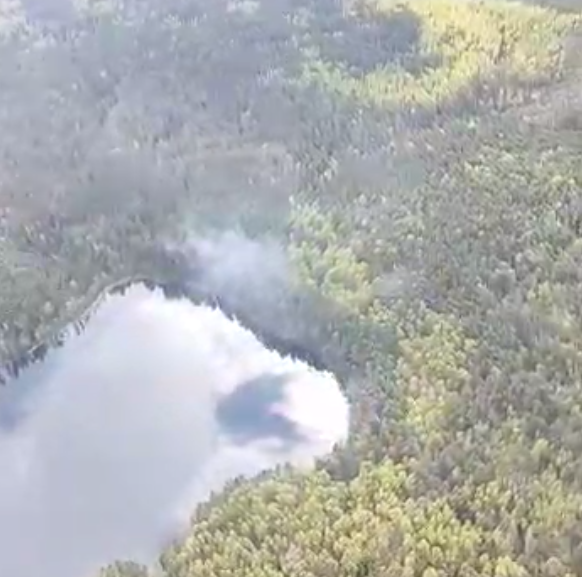 Фото: скриншот из видео телеграм-канала Псковской области