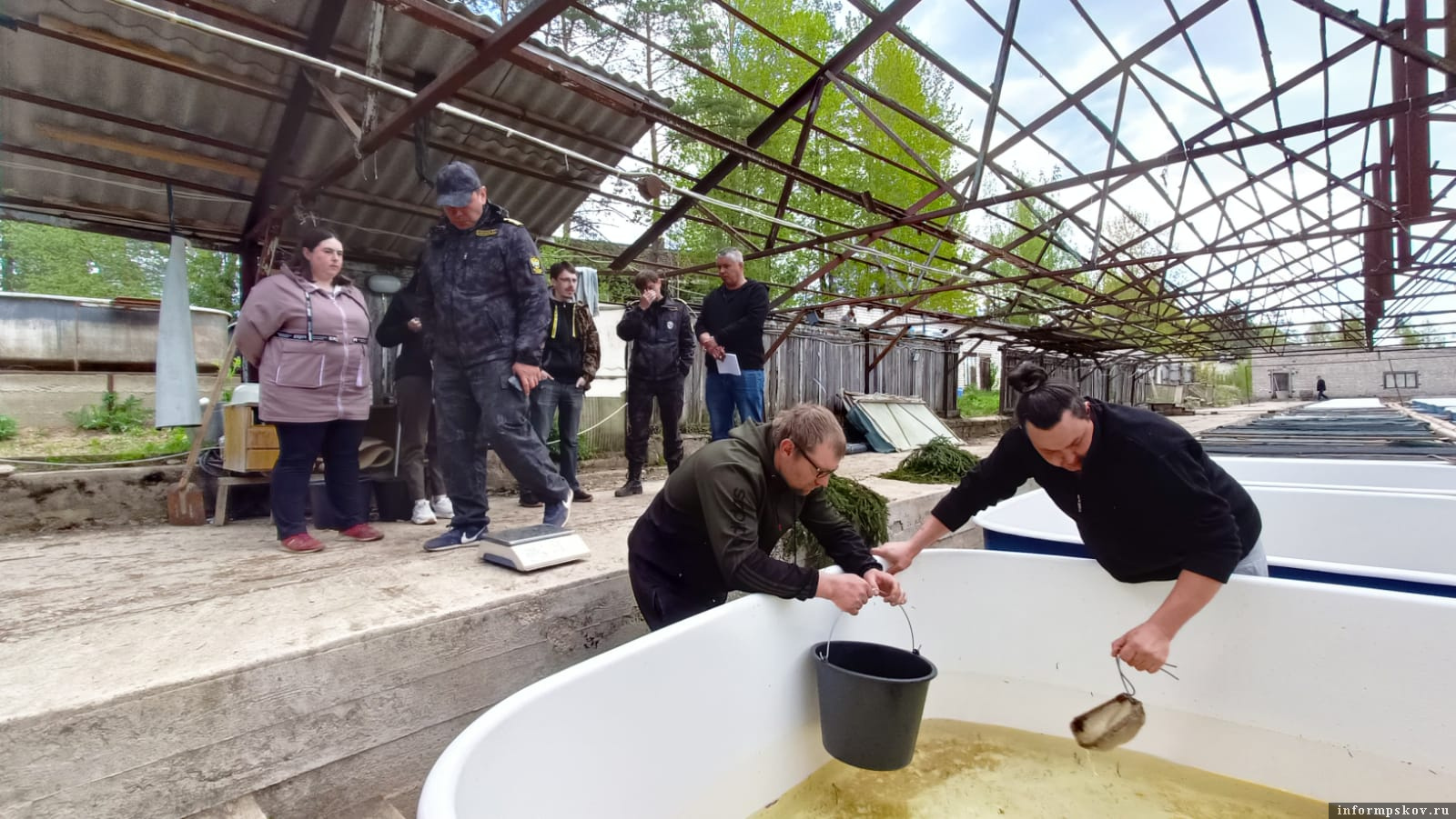 Фото здесь и далее: администрация Пскова