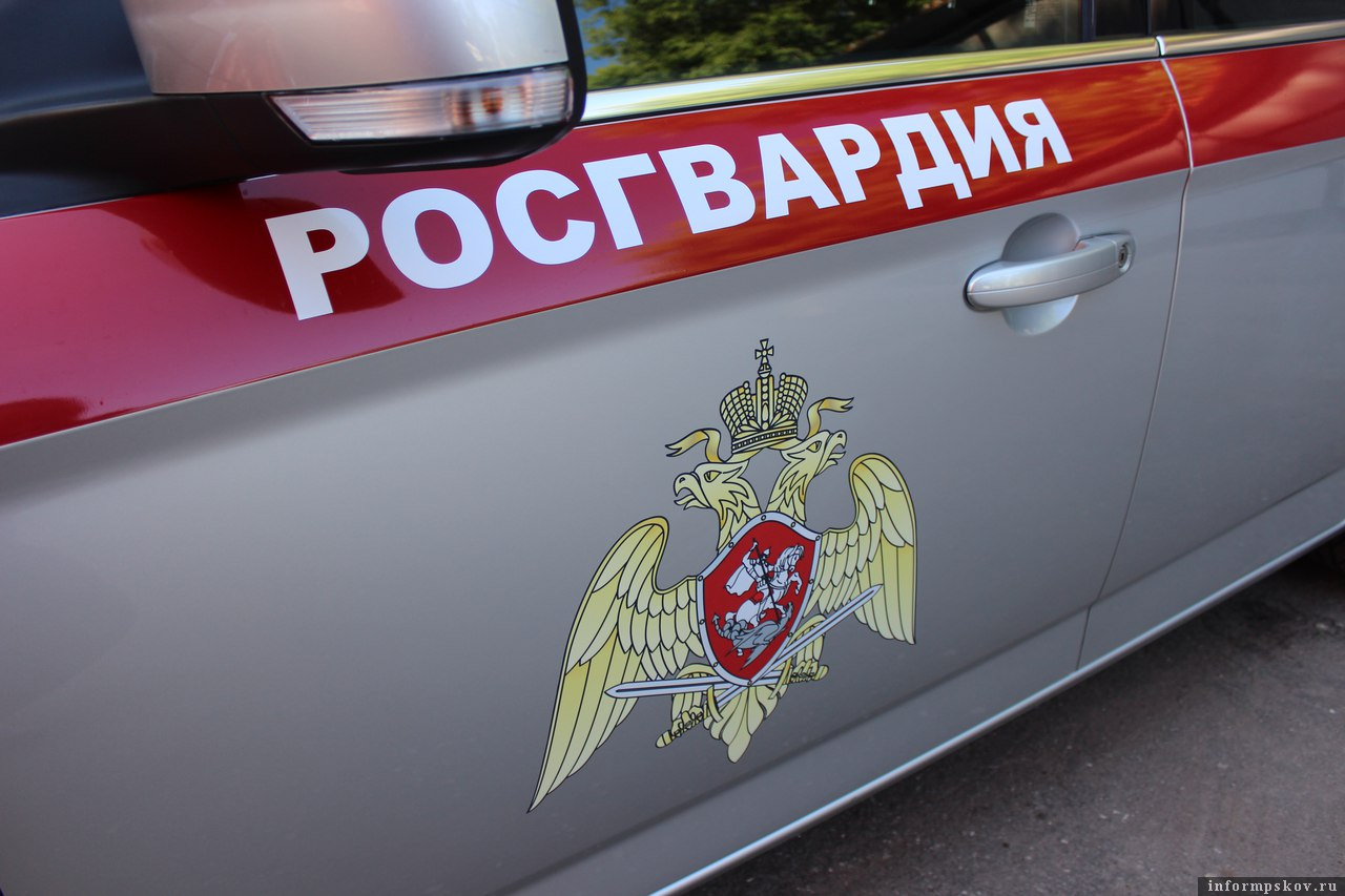 Фото: пресс-служба управления Росгвардии по Псковской области