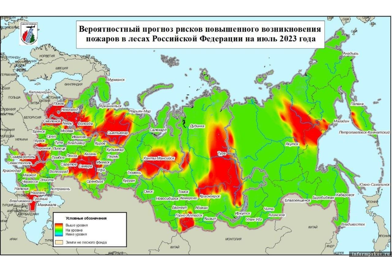 Фото: комитет по природным ресурсам и экологии Псковской области