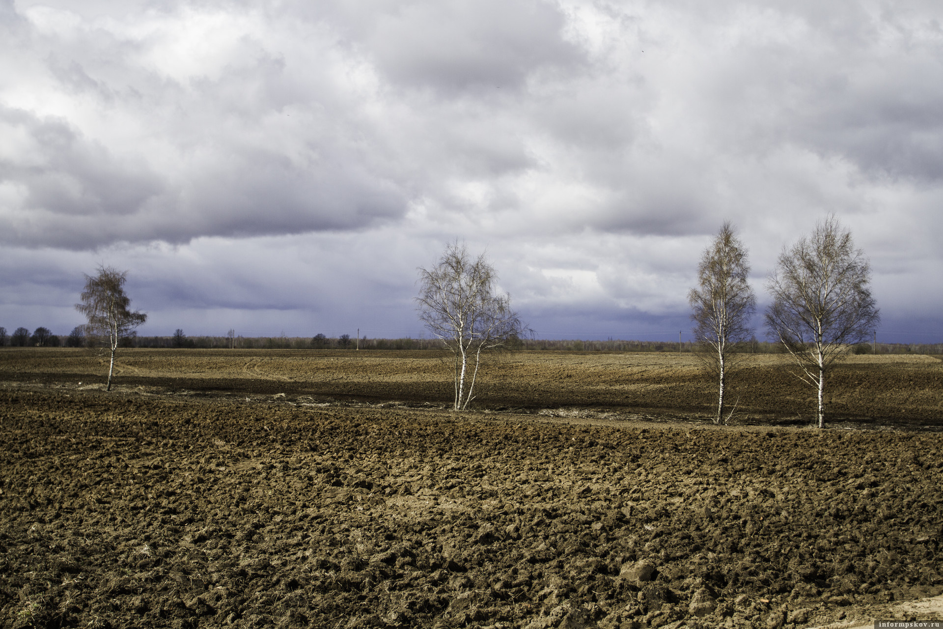 Фото: ПАИ