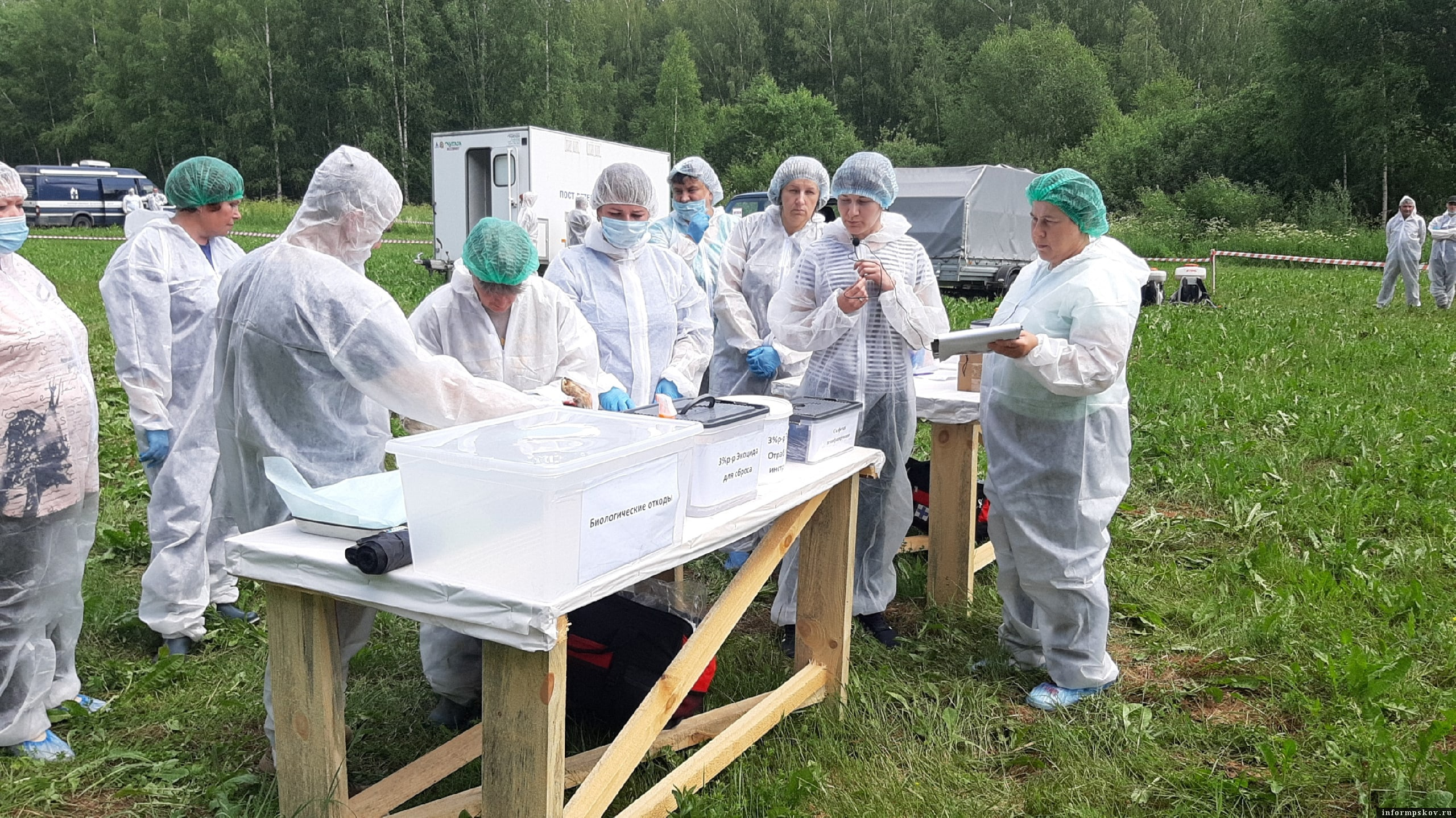 Фото: Газета «Пушкинский край»