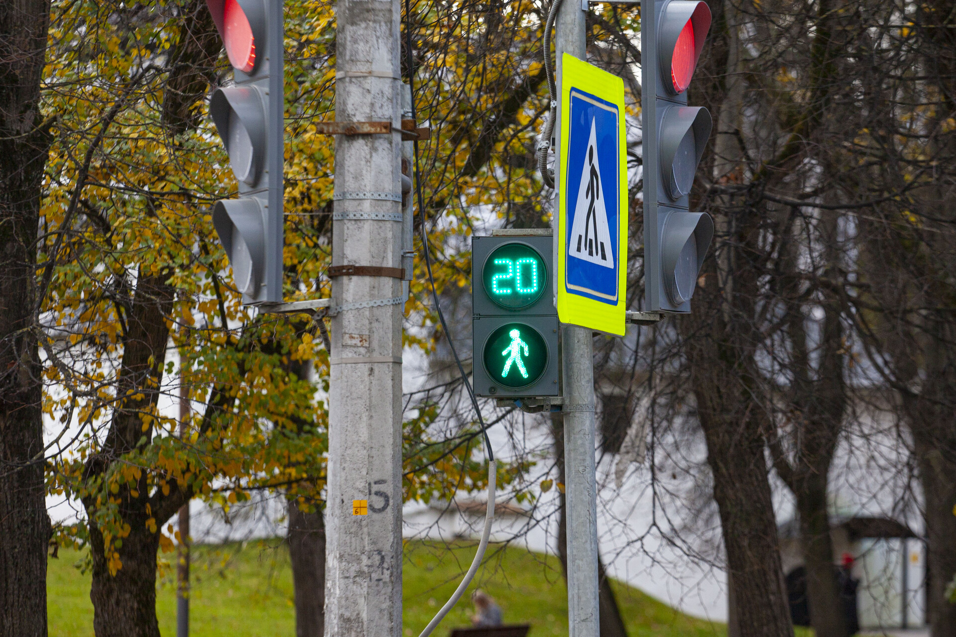 Фото: ПАИ