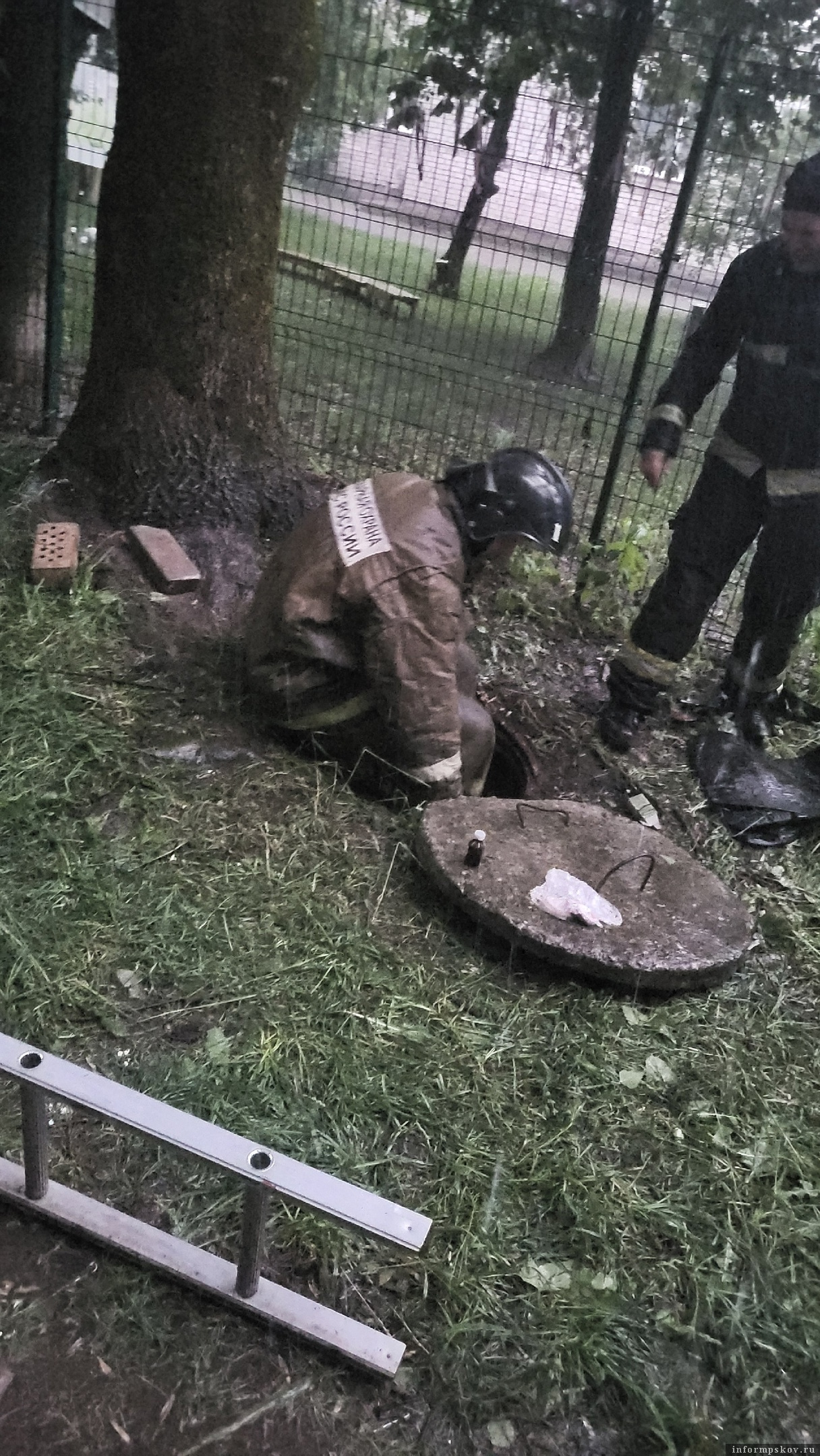 Фото здесь и далее: группа «Старое Запсковье, ДЭУ, Овсище - окраины Пскова» в социальной сети «ВКонтакте»