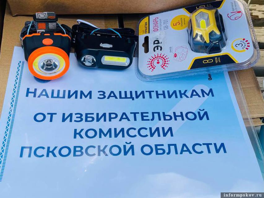 Фото здесь и далее: Избирательная комиссия Псковской области