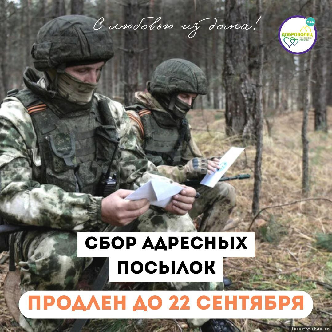 Фото: Ресурсный центр добровольчества Псковской области